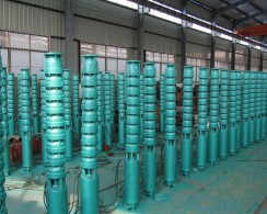 上海深井泵(bèng)