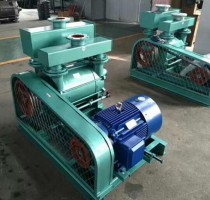 山東(dōng)2BE水環真空泵(beng)