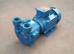 山東2BV水(shui)環式真空泵(bèng)