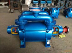 山東(dong)SK水環真空泵(bèng)