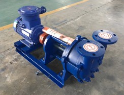 山東水環真(zhen)空泵